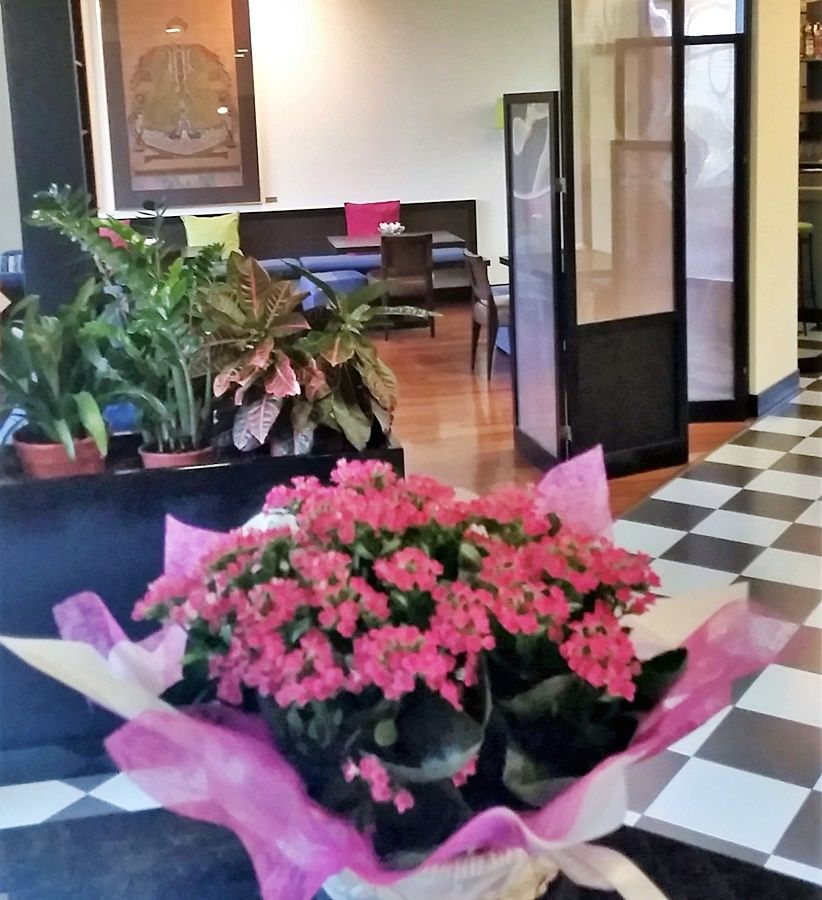 Verdemilia Hotel أنسولا ديليميليا المظهر الخارجي الصورة